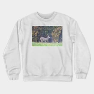 White Tailed Deer Crewneck Sweatshirt